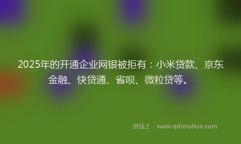 2025年的开通企业网银被拒有：小米贷款、京东金融、快贷通、省呗、微粒贷等。