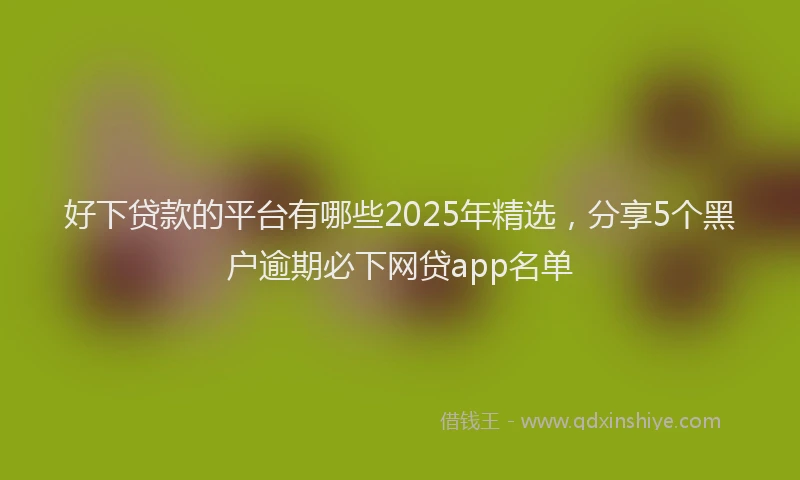 好下贷款的平台有哪些2025年精选，分享5个黑户逾期必下网贷app名单
