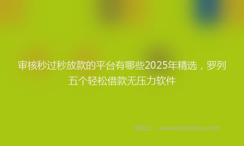 审核秒过秒放款的平台有哪些2025年精选，罗列五个轻松借款无压力软件