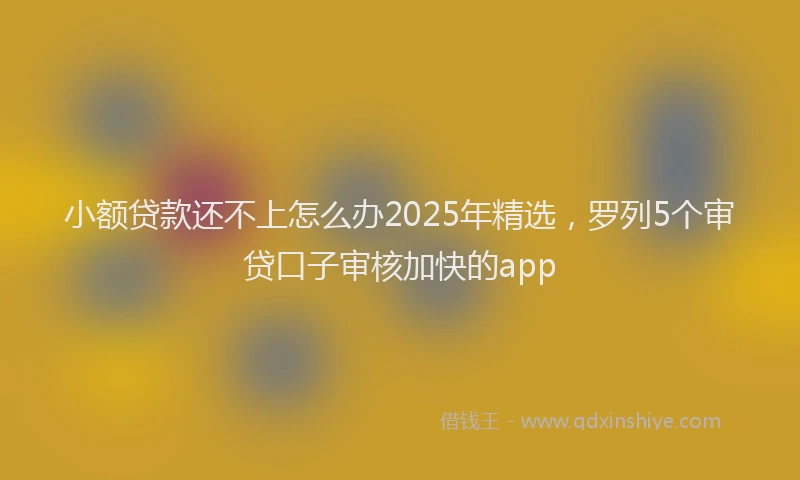 小额贷款还不上怎么办2025年精选，罗列5个审贷口子审核加快的app