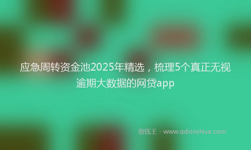 应急周转资金池2025年精选，梳理5个真正无视逾期大数据的网贷app