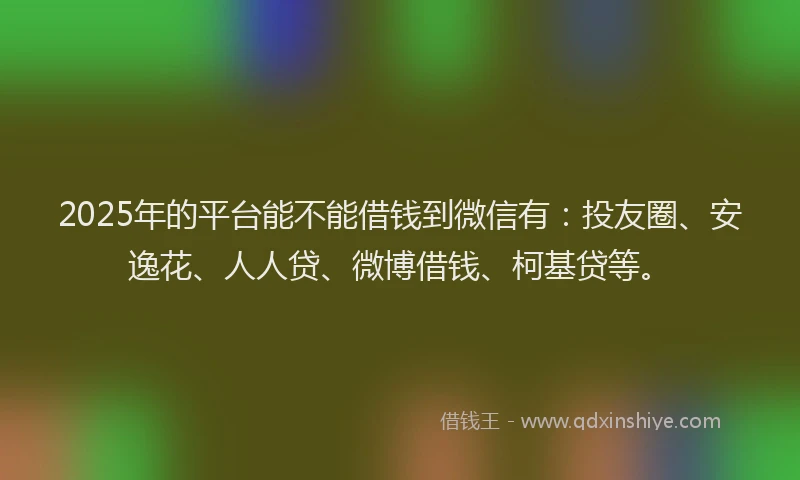 2025年的平台能不能借钱到微信有：投友圈、安逸花、人人贷、微博借钱、柯基贷等。