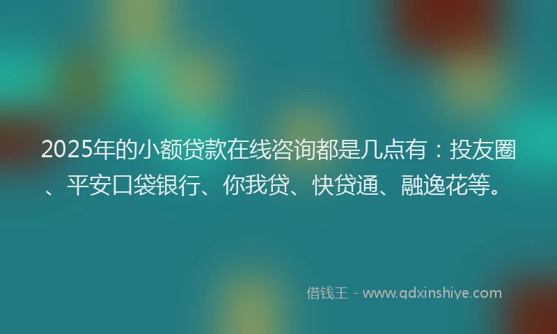 2025年的小额贷款在线咨询都是几点有：投友圈、平安口袋银行、你我贷、快贷通、融逸花等。