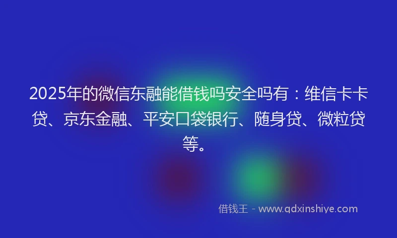 2025年的微信东融能借钱吗安全吗有：维信卡卡贷、京东金融、平安口袋银行、随身贷、微粒贷等。