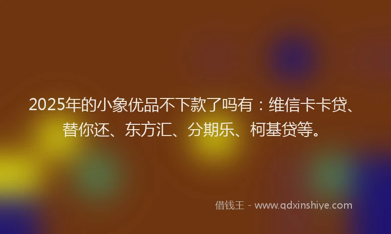 2025年的小象优品不下款了吗有：维信卡卡贷、替你还、东方汇、分期乐、柯基贷等。