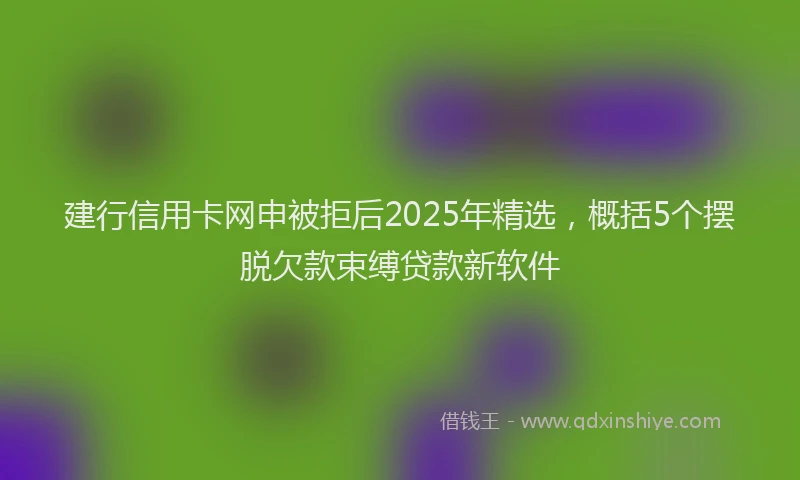 建行信用卡网申被拒后2025年精选，概括5个摆脱欠款束缚贷款新软件