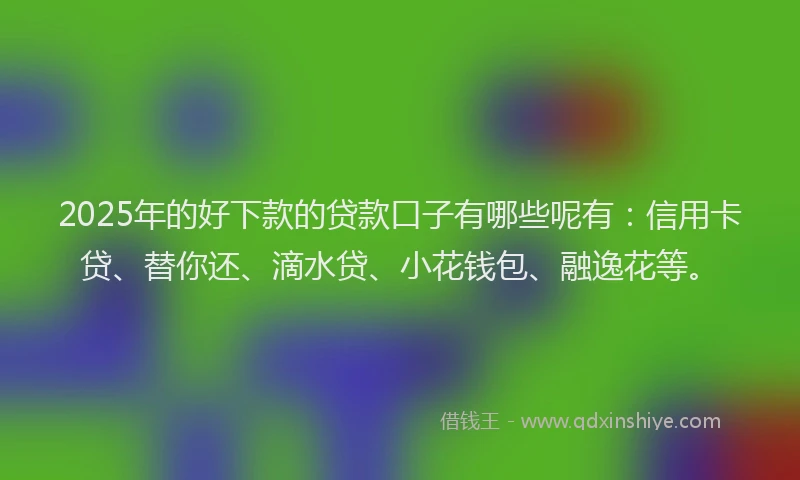 2025年的好下款的贷款口子有哪些呢有：信用卡贷、替你还、滴水贷、小花钱包、融逸花等。