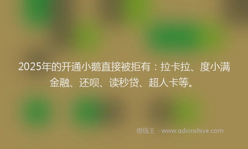 2025年的开通小鹅直接被拒有：拉卡拉、度小满金融、还呗、读秒贷、超人卡等。