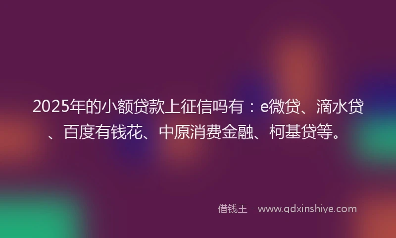 2025年的小额贷款上征信吗有：e微贷、滴水贷、百度有钱花、中原消费金融、柯基贷等。