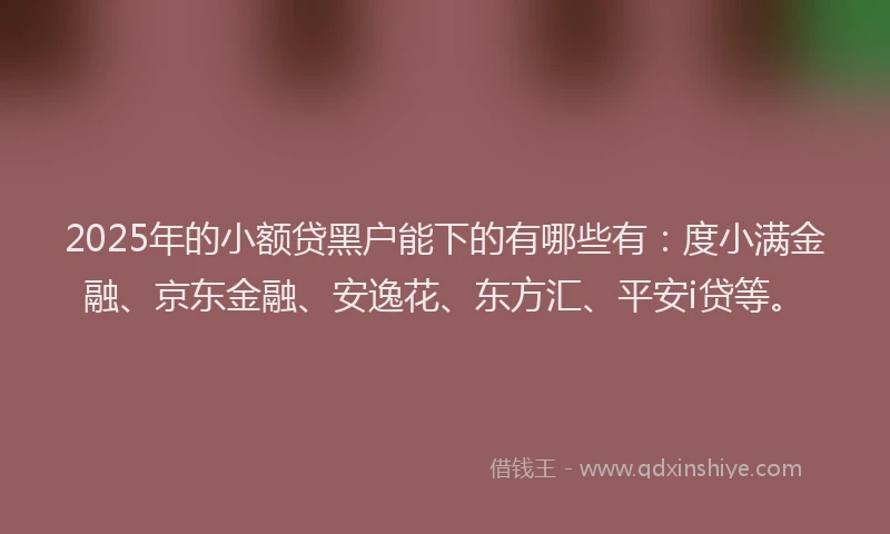 2025年的小额贷黑户能下的有哪些有：度小满金融、京东金融、安逸花、东方汇、平安i贷等。