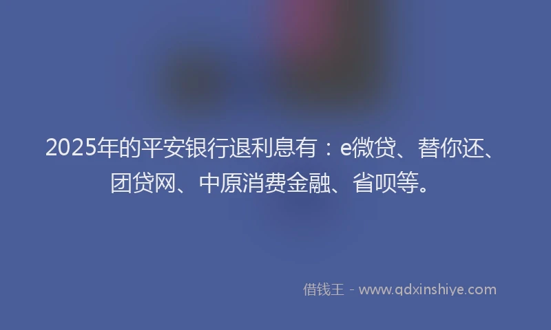 2025年的平安银行退利息有：e微贷、替你还、团贷网、中原消费金融、省呗等。