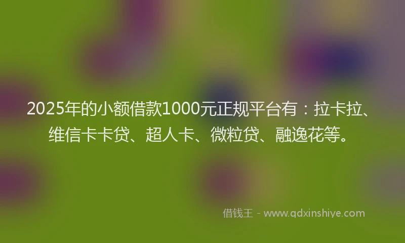 2025年的小额借款1000元正规平台有：拉卡拉、维信卡卡贷、超人卡、微粒贷、融逸花等。