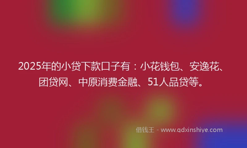 2025年的小贷下款口子有：小花钱包、安逸花、团贷网、中原消费金融、51人品贷等。