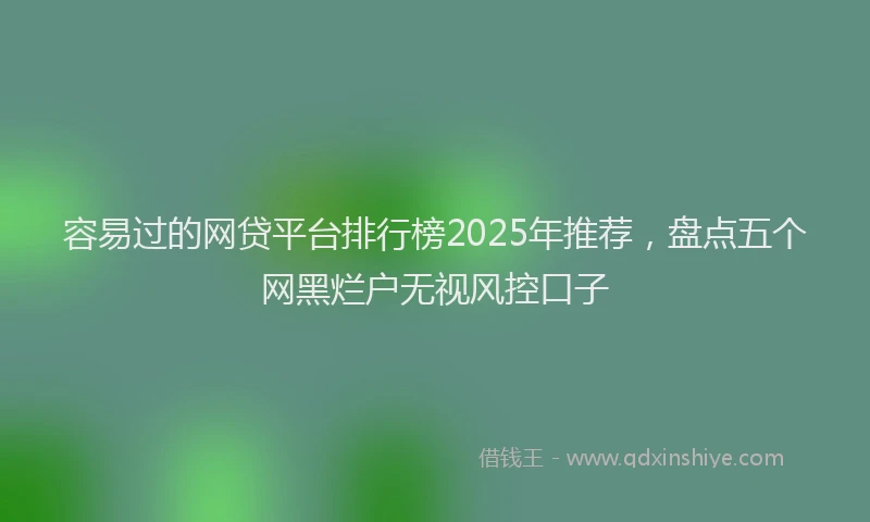 容易过的网贷平台排行榜2025年推荐，盘点五个网黑烂户无视风控口子