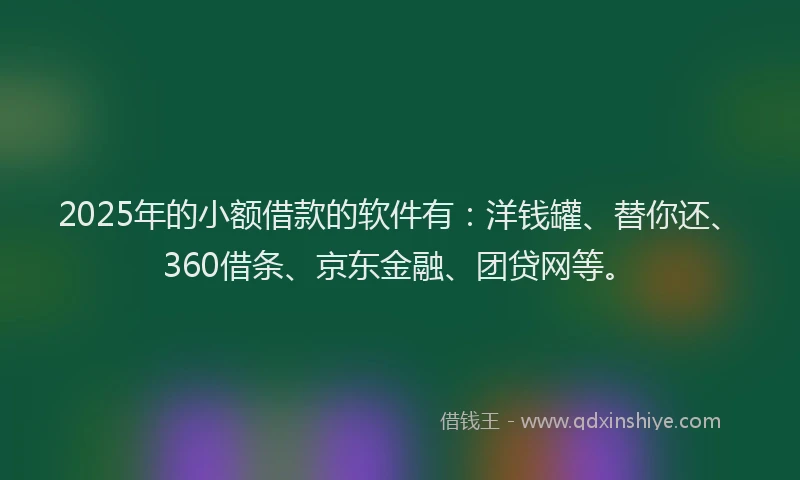 2025年的小额借款的软件有：洋钱罐、替你还、360借条、京东金融、团贷网等。