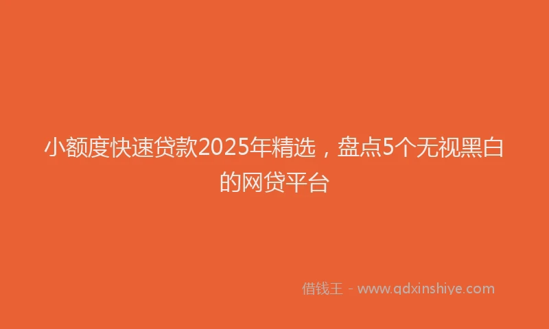 小额度快速贷款2025年精选，盘点5个无视黑白的网贷平台