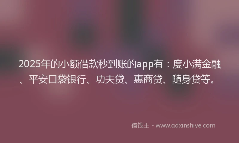 2025年的小额借款秒到账的app有：度小满金融、平安口袋银行、功夫贷、惠商贷、随身贷等。