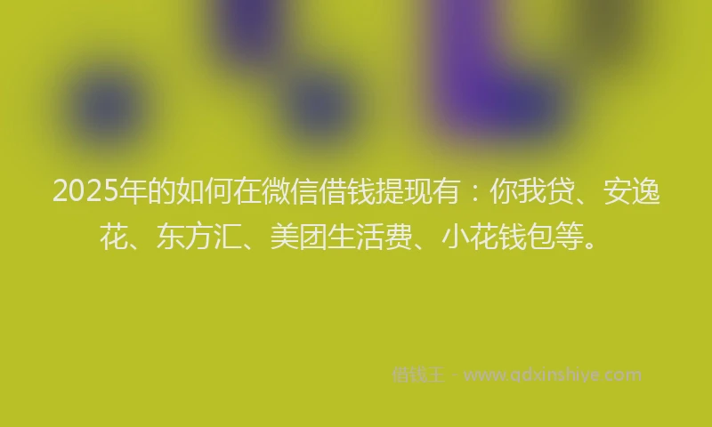 2025年的如何在微信借钱提现有：你我贷、安逸花、东方汇、美团生活费、小花钱包等。