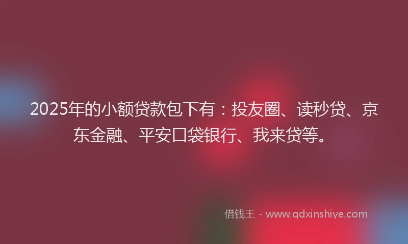 2025年的小额贷款包下有：投友圈、读秒贷、京东金融、平安口袋银行、我来贷等。