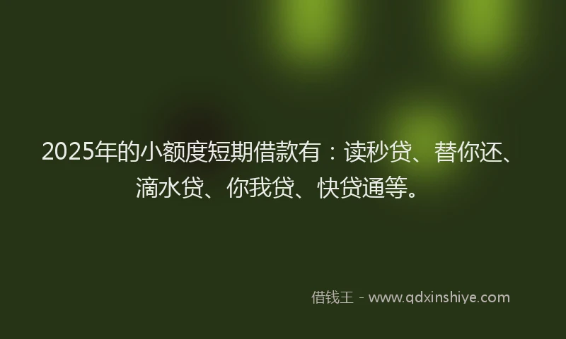 2025年的小额度短期借款有：读秒贷、替你还、滴水贷、你我贷、快贷通等。