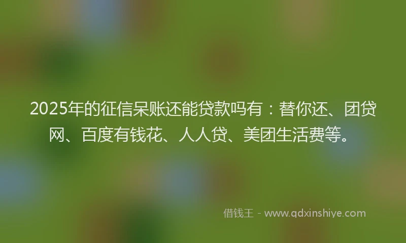 2025年的征信呆账还能贷款吗有：替你还、团贷网、百度有钱花、人人贷、美团生活费等。