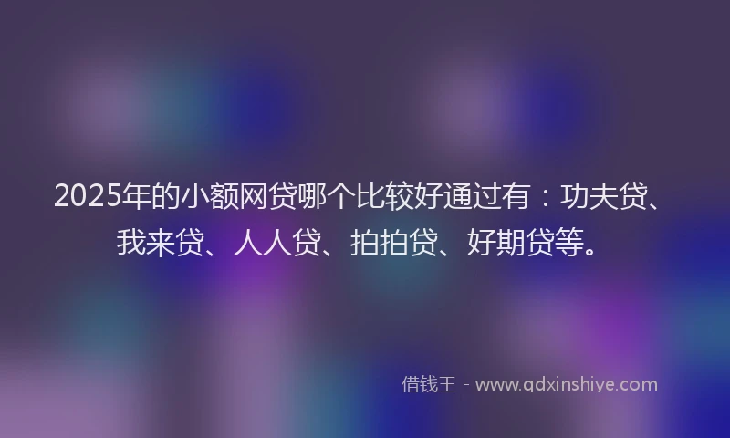 2025年的小额网贷哪个比较好通过有：功夫贷、我来贷、人人贷、拍拍贷、好期贷等。