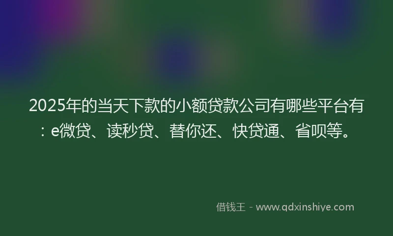 2025年的当天下款的小额贷款公司有哪些平台有：e微贷、读秒贷、替你还、快贷通、省呗等。