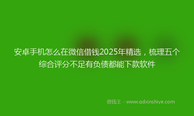 安卓手机怎么在微信借钱2025年精选，梳理五个综合评分不足有负债都能下款软件