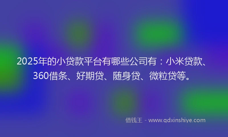 2025年的小贷款平台有哪些公司有：小米贷款、360借条、好期贷、随身贷、微粒贷等。