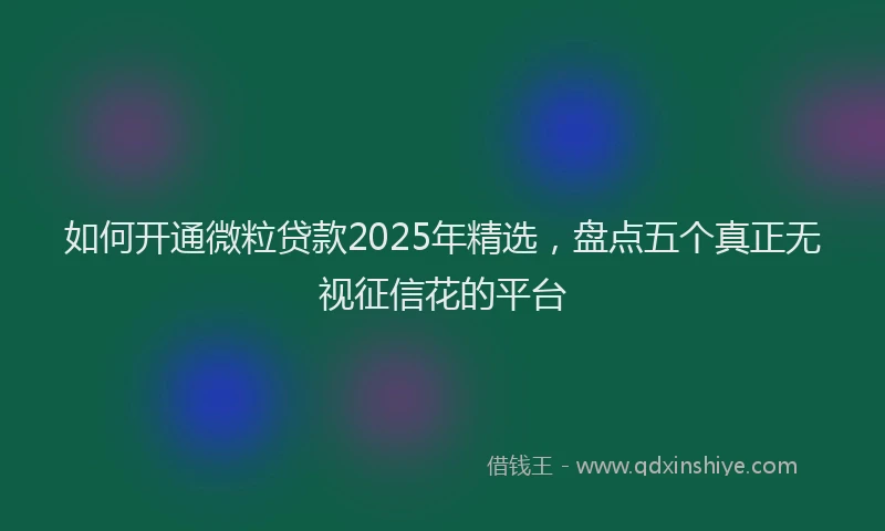 如何开通微粒贷款2025年精选，盘点五个真正无视征信花的平台