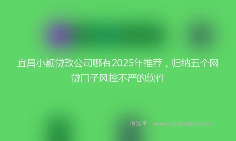 宜昌小额贷款公司哪有2025年推荐，归纳五个网贷口子风控不严的软件
