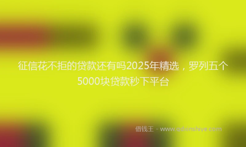 征信花不拒的贷款还有吗2025年精选，罗列五个5000块贷款秒下平台