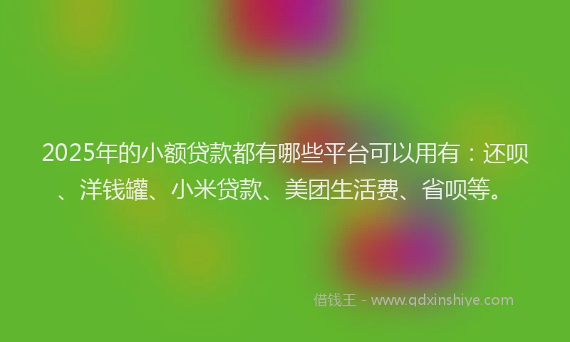2025年的小额贷款都有哪些平台可以用有：还呗、洋钱罐、小米贷款、美团生活费、省呗等。