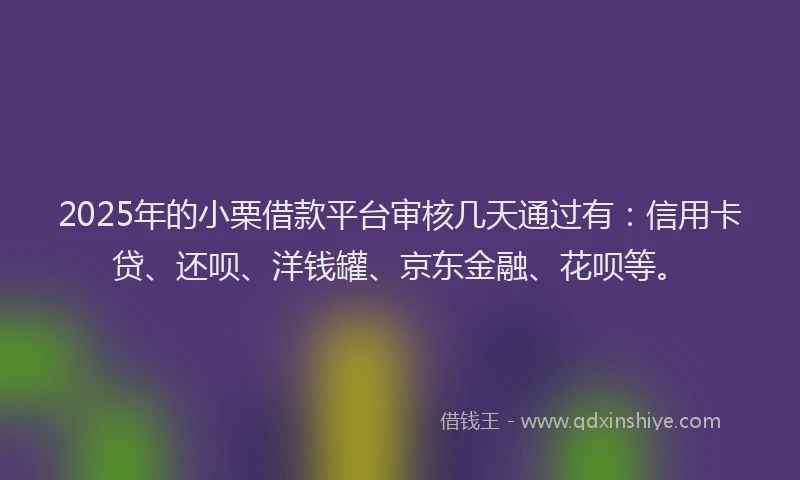 2025年的小栗借款平台审核几天通过有：信用卡贷、还呗、洋钱罐、京东金融、花呗等。