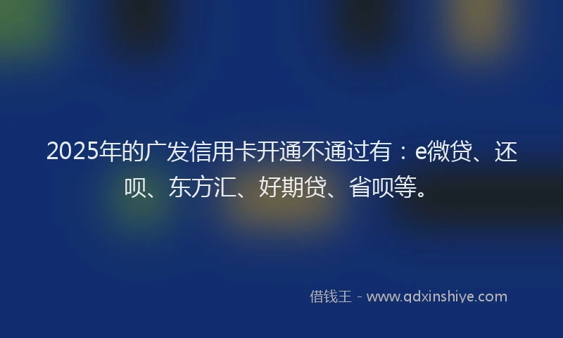 2025年的广发信用卡开通不通过有：e微贷、还呗、东方汇、好期贷、省呗等。