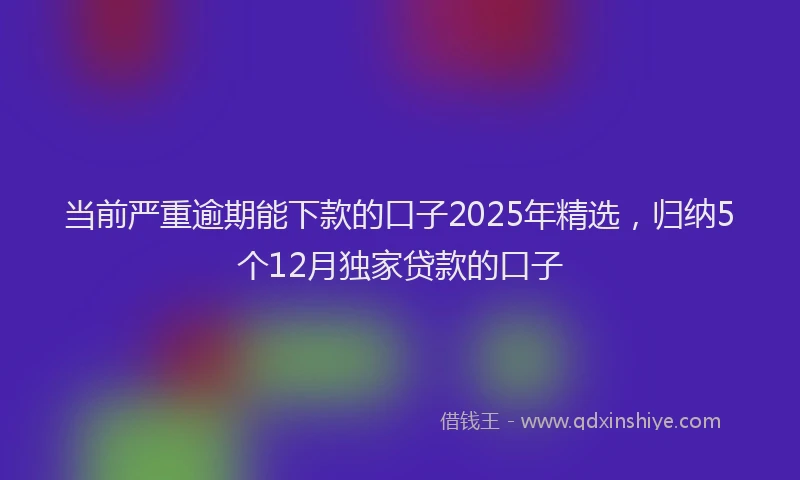 当前严重逾期能下款的口子2025年精选，归纳5个12月独家贷款的口子