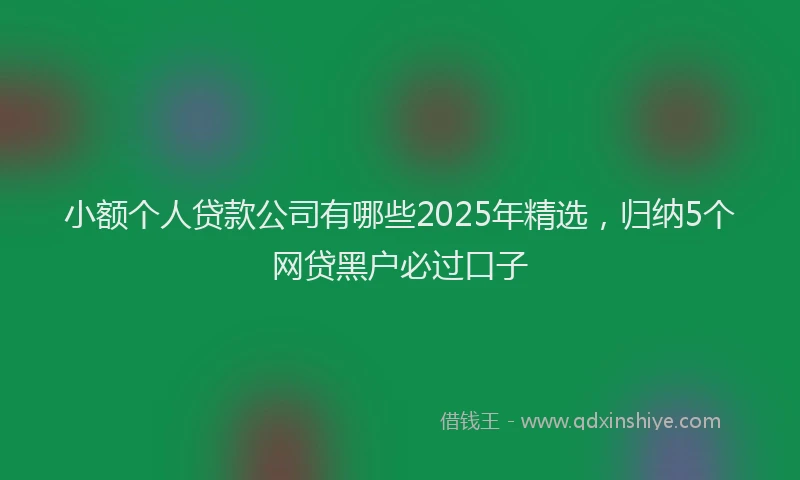 小额个人贷款公司有哪些2025年精选，归纳5个网贷黑户必过口子
