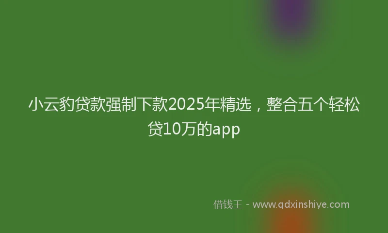 小云豹贷款强制下款2025年精选，整合五个轻松贷10万的app
