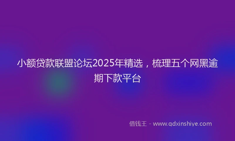 小额贷款联盟论坛2025年精选，梳理五个网黑逾期下款平台
