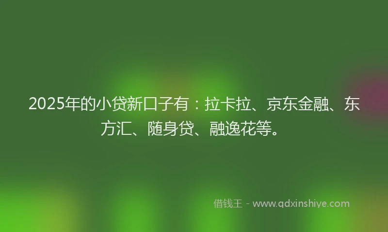 2025年的小贷新口子有：拉卡拉、京东金融、东方汇、随身贷、融逸花等。