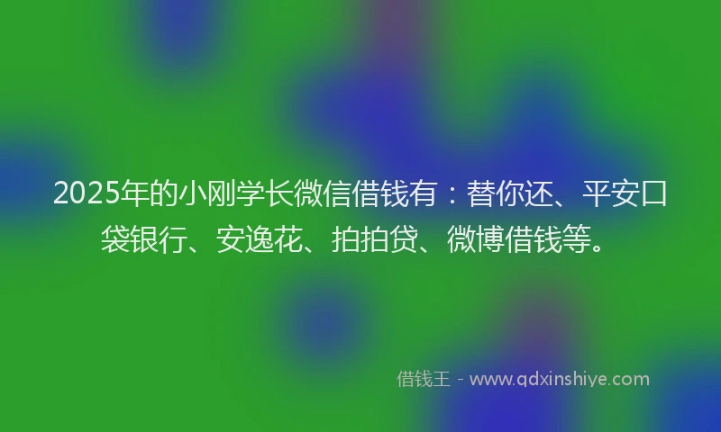 2025年的小刚学长微信借钱有：替你还、平安口袋银行、安逸花、拍拍贷、微博借钱等。