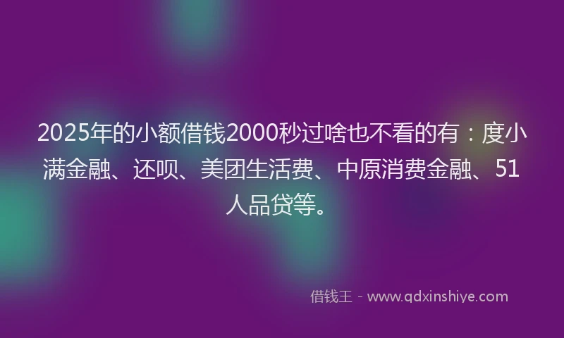 2025年的小额借钱2000秒过啥也不看的有：度小满金融、还呗、美团生活费、中原消费金融、51人品贷等。