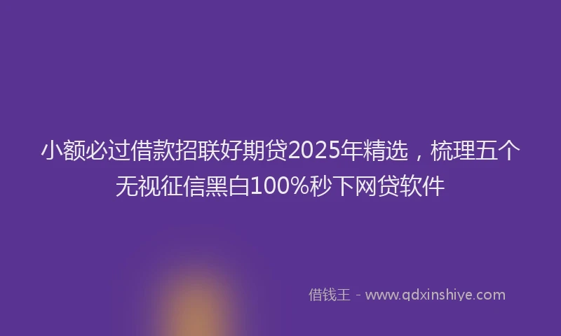 小额必过借款招联好期贷2025年精选，梳理五个无视征信黑白100%秒下网贷软件