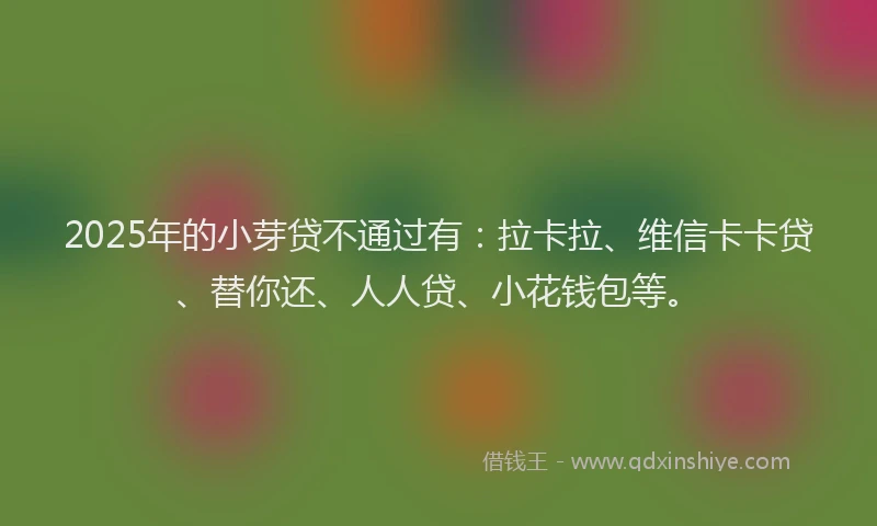 2025年的小芽贷不通过有：拉卡拉、维信卡卡贷、替你还、人人贷、小花钱包等。