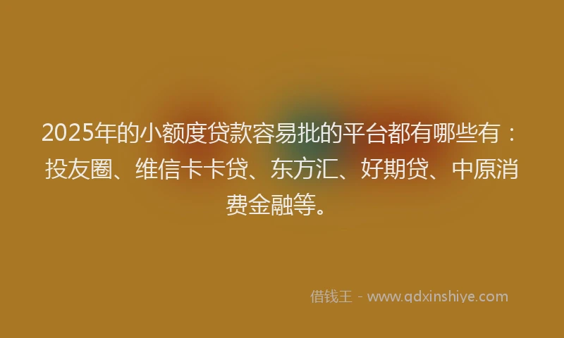 2025年的小额度贷款容易批的平台都有哪些有：投友圈、维信卡卡贷、东方汇、好期贷、中原消费金融等。