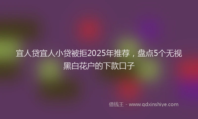 宜人贷宜人小贷被拒2025年推荐，盘点5个无视黑白花户的下款口子