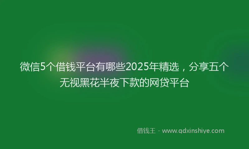 微信5个借钱平台有哪些2025年精选，分享五个无视黑花半夜下款的网贷平台