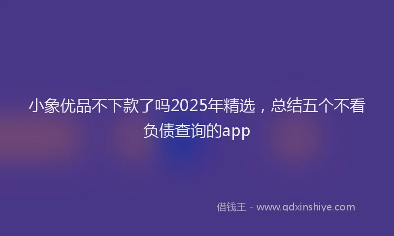 小象优品不下款了吗2025年精选，总结五个不看负债查询的app