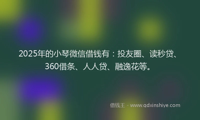 2025年的小琴微信借钱有：投友圈、读秒贷、360借条、人人贷、融逸花等。