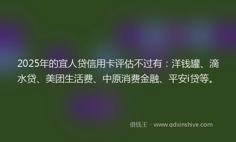 2025年的宜人贷信用卡评估不过有：洋钱罐、滴水贷、美团生活费、中原消费金融、平安i贷等。